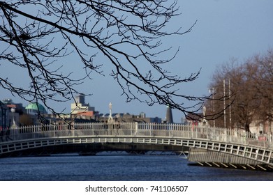 Tree branches in front of river in Dublin
