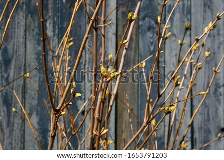 Similar – Foto Bild Carport Deko Leben Sonne