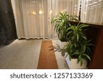 tree in the building and warming light background                              