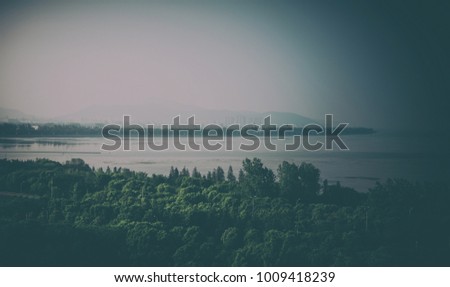 Tree by a lake