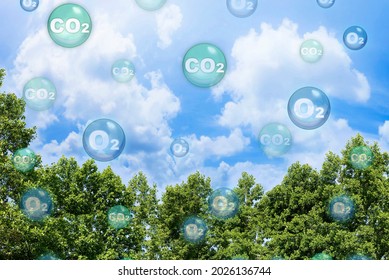 Tree canopy against a sky background with oxygen O2 and carbon dioxide CO2 molecules - Carbon dioxide absorption and oxygen release concept - Shutterstock ID 2026136744