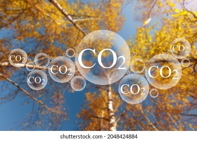 Tree Canopy Against A Sky Background With Oxygen O2 And Carbon Dioxide CO2 Molecules, Release Concept