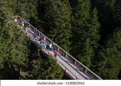 Tree Canopy Walk, Treetop Walkway, Footbridge Through The Forest, Adventure In Nature, Escaping The City On Rogla, Pohorja Mountain, Slovenia