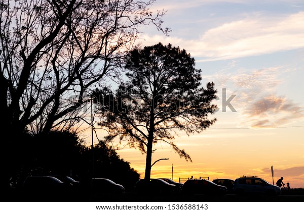 Tree and cars silhouette during\
sunset at Marinha do Brasil Park in Porto Alegre,\
Brasil