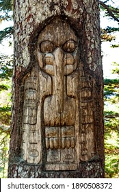 Tree Carved By Native Tlingit Indians Along A Trail On Top Of Mt. Roberts In Juneau, Alaska, USA