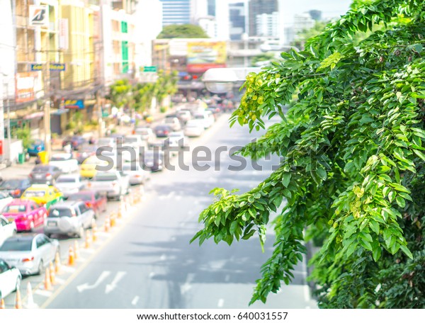 Tree and city life concept -\
Green leaf of tree in bangkok city with car traffic jam and\
copyspace