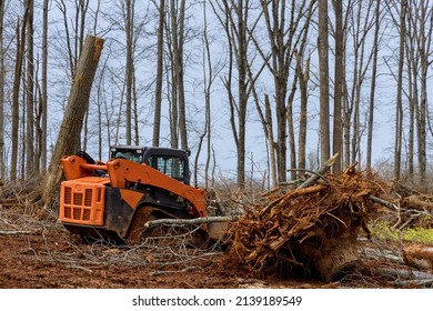 Tree Clearing For Housing Preparation Land New Residential Development Construction