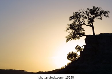 Tree and Cliff silhouetted by the sunset, in Austin Texas.
