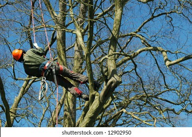 tree climber hanging by a rope - Powered by Shutterstock