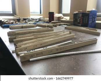 Tree Cores In A Dendrochronology Lab