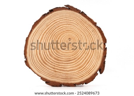 Tree cross section. Texture of tree trunk with life rings. How old is the tree rings. Cross section of oak grove tree trunk showing growth rings isolated on white background.