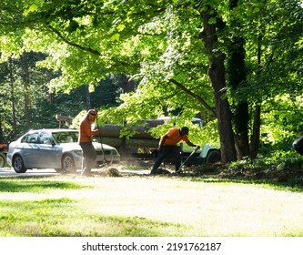 Tree Cutters Cleaning Up The Mess From The Tree (May 18th, 2017, NC State)