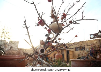 A tree decorated with clay pots on a sunset background