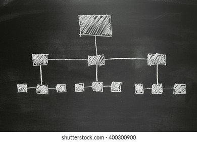 Tree Diagram On Chalkboard