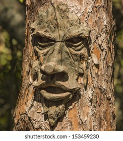 Tree with a face
