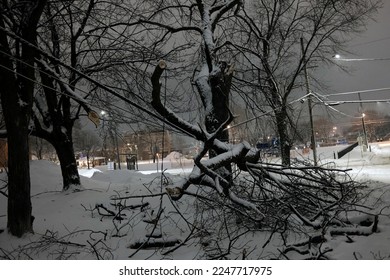a tree fallen on electrical wires during a snowstorm at night - Shutterstock ID 2247717975
