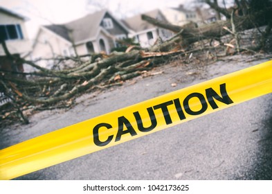 Tree Falls On A Car After Nor-easter Storm And Also Takes Down A Telephone Pole And Power Line