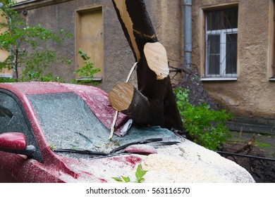 Tree Fell On A Car By House Background