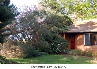 A Tree Fell On A House.