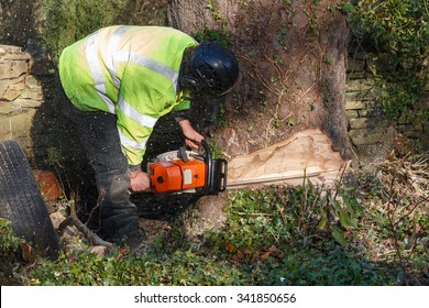 Tree felling with a large chainsaw cutting into tree trunk.  The tree surgeon  doing the tree felling is wearing full chainsaw safety equipment.  Motion bur of sawdust and chippings - Powered by Shutterstock