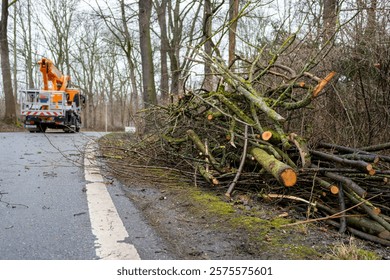 Tree felling work on a road in spring with a lifting platform