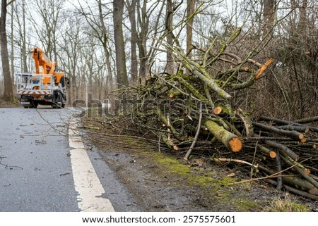 Tree felling work on a road in spring with a lifting platform