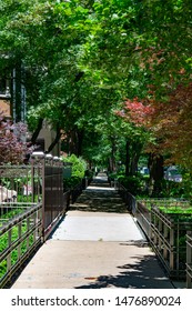 Tree And Fence Lined Sidewalk In Front Of Old Homes In The Gold Coast Neighborhood Of Chicago