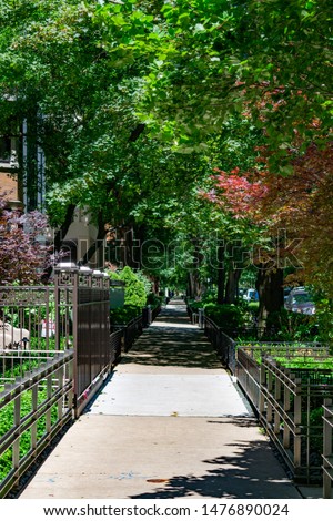 Tree and Fence lined Sidewalk in front of Old Homes in the Gold Coast Neighborhood of Chicago