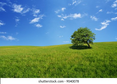 14,581 Wide open fields Images, Stock Photos & Vectors | Shutterstock