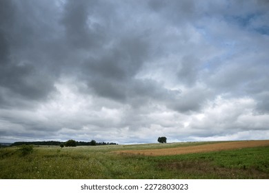 A tree in a field under dark clouds.