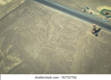 Tree Figure Of The Nazca Lines In Nazca, Peru