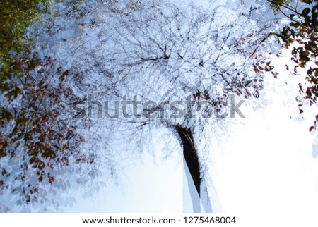 Similar – Image, Stock Photo sky water Colour photo