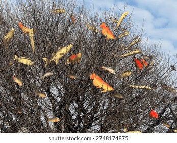 A tree with alot of fish between branches