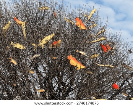 A tree with alot of fish between branches