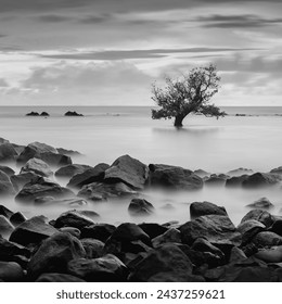 A tree is floating in the water near a rocky shore. The scene is calm and peaceful, with the tree standing out against the rocky background - Powered by Shutterstock