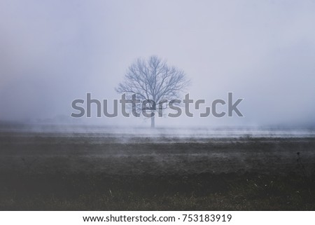 Image, Stock Photo THE NEBULAE OF AVALON