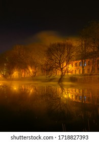 Tree In Foggy City Night 