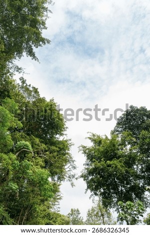 A tree is in the foreground and a tree is in the background. The sky is blue and there are clouds. Tamil nadu