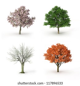 tree at four seasons - Shutterstock ID 117896533