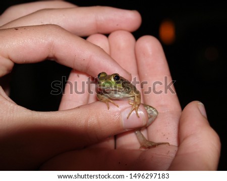 Similar – Image, Stock Photo the Prince Colour photo