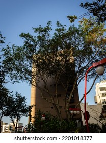 Tree in front of the building