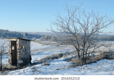 A tree in the frost in winter at dawn and a brick toilet, natural background. - Powered by Shutterstock