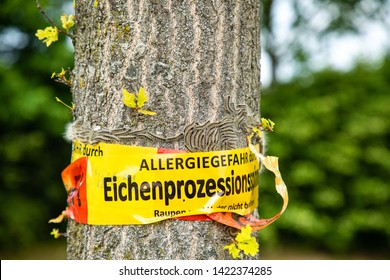 German Oak Images Stock Photos Vectors Shutterstock