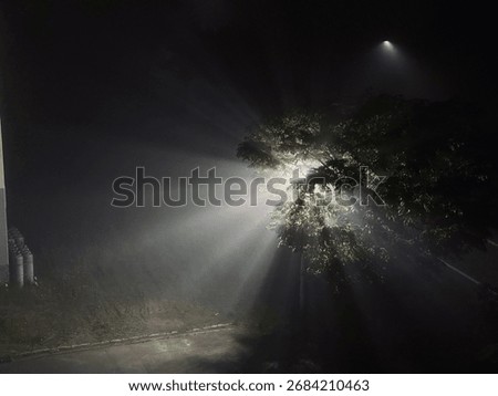 A tree glowing with dramatic light rays from a street lamp on a foggy night. Mysterious and atmospheric scene in the darkness.