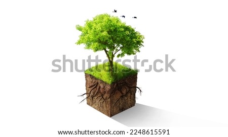 Tree, graphic and green sustainability for eco friendly, nature or care for earth environment. Trees, climate change or sustainable development of planet, recycle or soil by isolated white background
