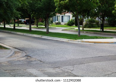 Tree And Grass Median