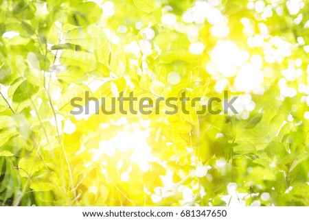 Similar – Image, Stock Photo summer resort Light Green