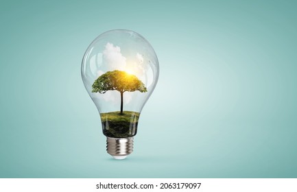 Tree Growing Inside Light Bulb