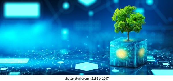 Tree growing on Circuit Digital Cube. Digital and Technology Convergence. Blue light and Wireframe network background. Green Computing, Green Technology, Green IT, csr, and IT ethics Concept.