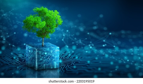 Tree growing on Circuit Digital Cube. Digital and Technology Convergence. Blue light and Wireframe network background. Green Computing, Green Technology, Green IT, csr, and IT ethics Concept.